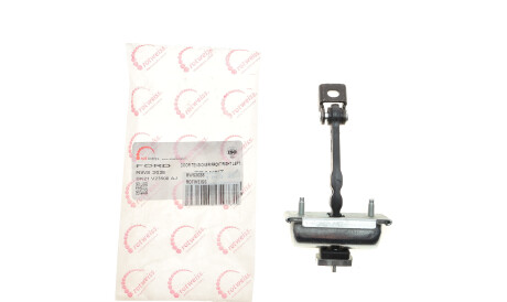 Фото 2 - Двері ROTWEISS RWS3038