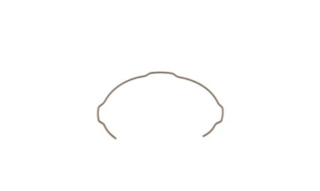 Кольцо синхронизатора (1-2-3 передача) Fiat Scudo/Ducato 06- - ROTWEISS RWS3092