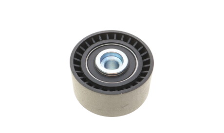 Фото 2 - Ролик ремня приводного ROTWEISS RWS3289