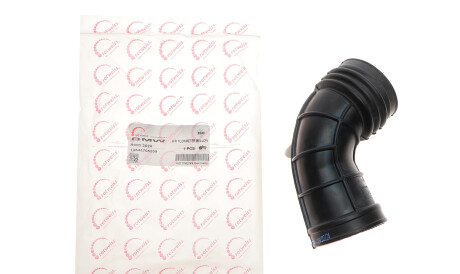 Фото 2 - Система впуску ROTWEISS RWS3624