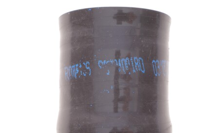 Фото 3 - Патрубок турбины ROTWEISS RWS3697