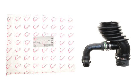 Фото 2 - Система впуску ROTWEISS RWS3728