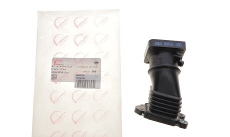 Фото 2 - Система впуску ROTWEISS RWS3769