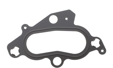 Прокладка корпуса термостата Ford Focus/Fiesta 95-12 - ROTWEISS RWS3929