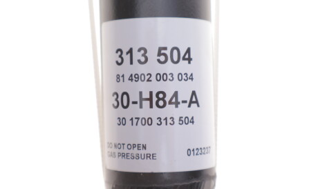 Фото 3 - Стойка амортизатору (амортизатор) SACHS 313504