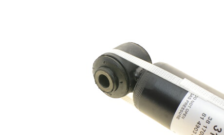 Фото 4 - Стойка амортизатору (амортизатор) SACHS 313 683 (313683)