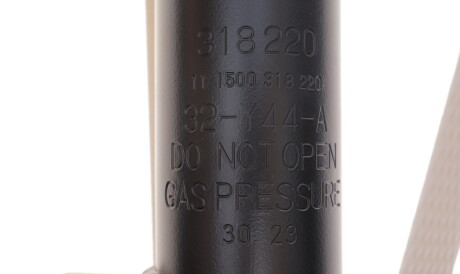 Фото 3 - Стійка амортизатору (амортизатор) SACHS 318 220 (318220)