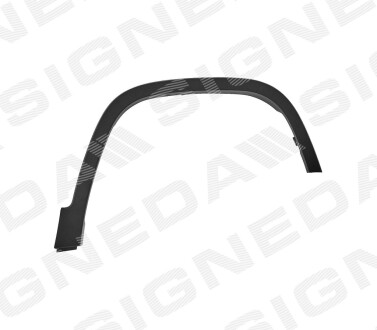 Надкрыльники (переднии) - (справа) - Signeda PCR01008MAR