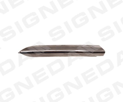 Молдінг на решітку в бампер LEXUS RX350/450H, 12 - - Signeda PTY07595MAR