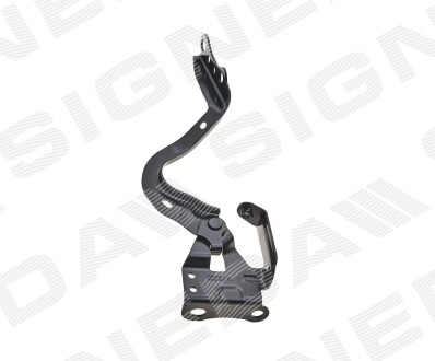 Петля для капота - Signeda PTY21250AR