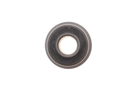 Фото 4 - Сайлентблок важеля SKF VKDS 831052