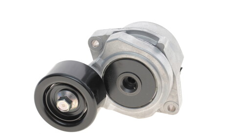 Фото 2 - Ролик ременя приводного SKF VKM 63010 (VKM63010)