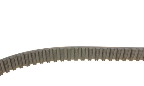 Фото 3 - Комплект ремня ГРМ SKF VKMA 01010 (VKMA01010)