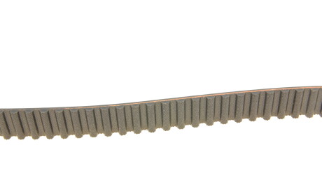 Фото 3 - Комплект ремня ГРМ SKF VKMA 01013 (VKMA01013)