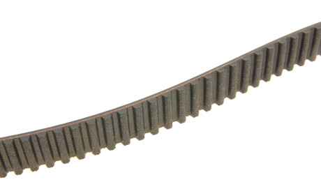 Фото 3 - Комплект ремня ГРМ SKF VKMA 02242 (VKMA02242)