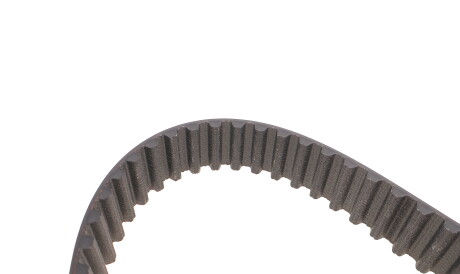 Фото 2 - Комплект ременя ГРМ SKF VKMA 03205 (VKMA03205)