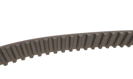 Фото 3 - Комплект ремня ГРМ SKF VKMA 03247 (VKMA03247)