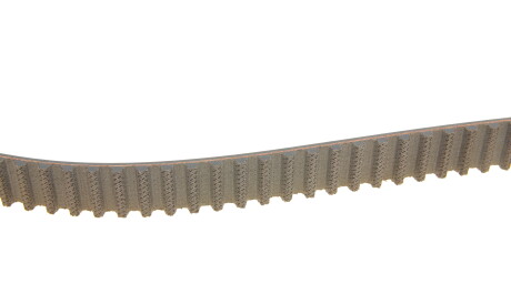 Фото 3 - Комплект ременя ГРМ SKF VKMA 03317 (VKMA03317)