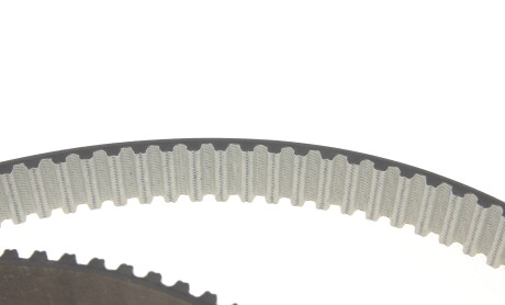 Фото 8 - Комплект ременя ГРМ SKF VKMA 05193 (VKMA05193)