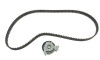 Комплект ГРМ Opel Astra F/Omega A/B/Vectra A/B 1.6/1.8/2.0i 88-03 (20x146z) - (1606359, 1606385, 5636351) SKF VKMA 05402 (фото 1)