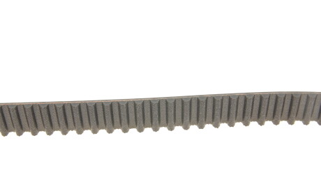 Фото 2 - Комплект ремня ГРМ SKF VKMA 06116 (VKMA06116)