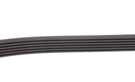 Фото 6 - Комплект ременя ГРМ SKF VKMA 31276 (VKMA31276)