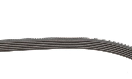 Фото 3 - Комплект ременя ГРМ SKF VKMA 33074 (VKMA33074)