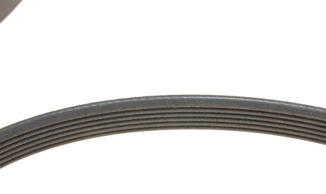 Фото 3 - Комплект ременя ГРМ SKF VKMA 64119 (VKMA64119)