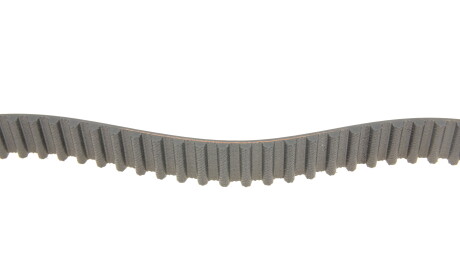 Фото 2 - Комплект ременя ГРМ SKF VKMA 91920 (VKMA91920)