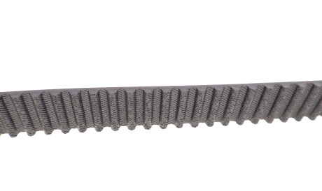 Фото 3 - Комплект ременя ГРМ SKF VKMA 94920 (VKMA94920)