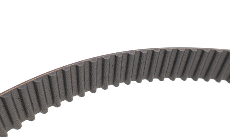 Фото 2 - Комплект ремня ГРМ SKF VKMA 95005 (VKMA95005)