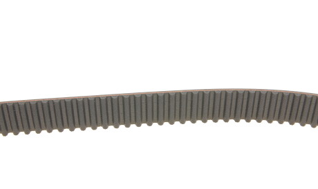 Фото 2 - Комплект ременя ГРМ SKF VKMA 95624 (VKMA95624)