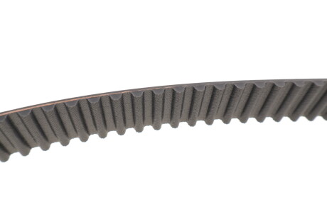 Фото 5 - Комплект ремня ГРМ SKF VKMA 95666 (VKMA95666)