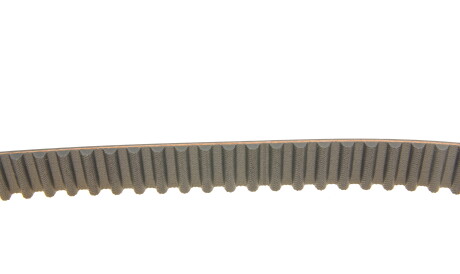 Фото 3 - Комплект ременя ГРМ SKF VKMA 95667 (VKMA95667)