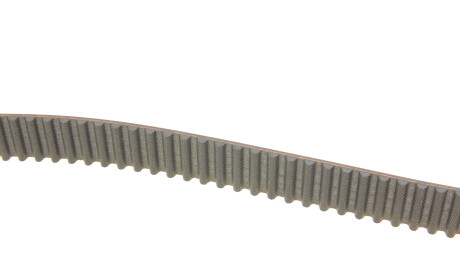 Фото 3 - Комплект ременя ГРМ SKF VKMA 98109 (VKMA98109)