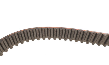 Фото 3 - Комплект ременя ГРМ SKF VKMC 01113-1 (VKMC011131)