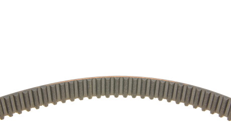 Фото 3 - Комплект ременя ГРМ SKF VKMC 01113-2 (VKMC011132)