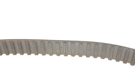 Фото 3 - Комплект ременя ГРМ SKF VKMC 01244 (VKMC01244)