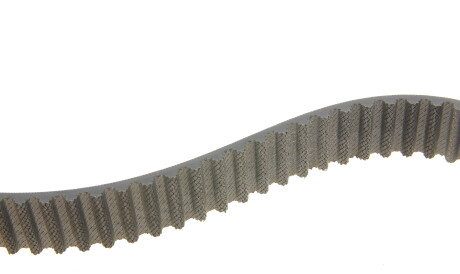 Фото 3 - Комплект ременя ГРМ SKF VKMC 01250-1 (VKMC012501)