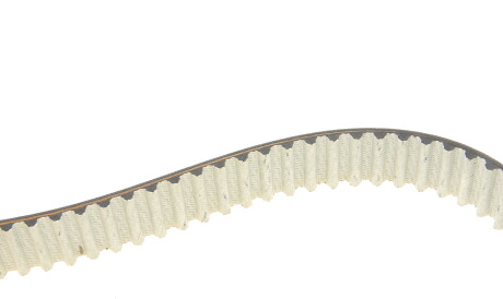 Фото 3 - Комплект ременя ГРМ SKF VKMC 01255-1 (VKMC012551)