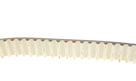 Фото 3 - Комплект ременя ГРМ SKF VKMC 01263-1 (VKMC012631)