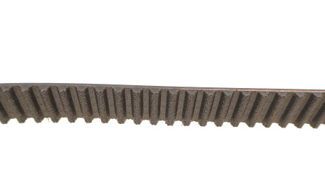 Фото 3 - Комплект ремня ГРМ SKF VKMC 01918-1 (VKMC019181)