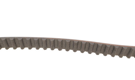 Фото 3 - Комплект ременя ГРМ SKF VKMC 03254 (VKMC03254)