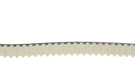 Фото 3 - Комплект ременя ГРМ SKF VKMC 03316 (VKMC03316)