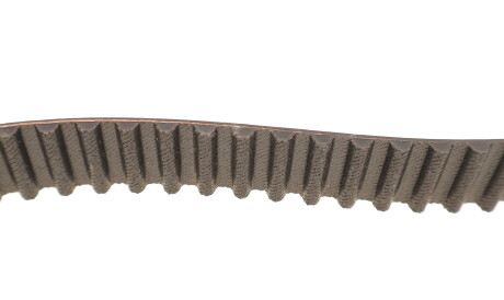 Фото 3 - Комплект ременя ГРМ SKF VKMC 06002 (VKMC06002)