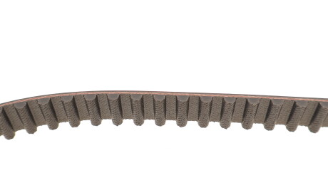 Фото 3 - Комплект ремня ГРМ SKF VKMC 06005 (VKMC06005)