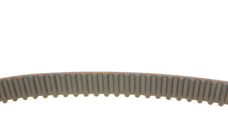 Фото 3 - Комплект ременя ГРМ SKF VKMC 06020 (VKMC06020)