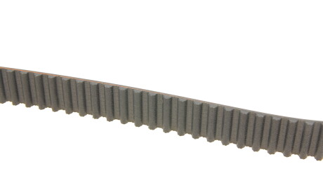 Фото 3 - Комплект ременя ГРМ SKF VKMC 06021 (VKMC06021)