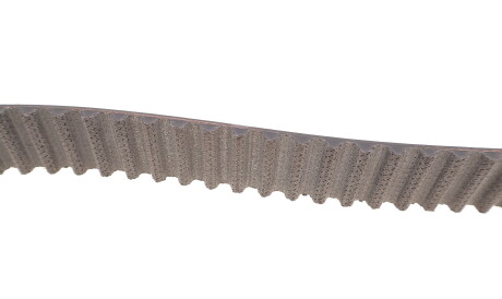 Фото 3 - Комплект ремня ГРМ SKF VKMC 06134-1 (VKMC061341)