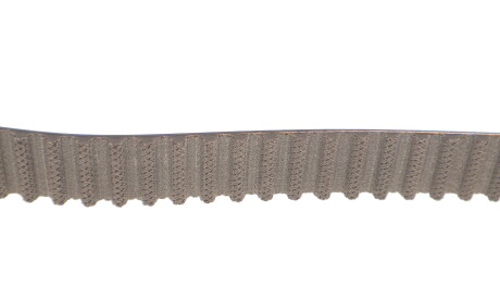 Фото 3 - Комплект ременя ГРМ SKF VKMC 06134-2 (VKMC061342)